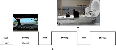 Evaluation of Effective Connectivity Between Brain Areas Activated During Simulated Driving Using Dynamic Causal Modeling